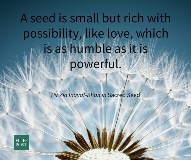A seed is small but rich with possibility