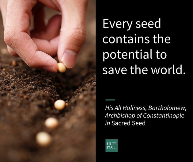 Every seed has the potential to save the world